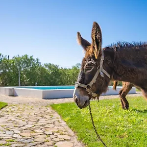  Alloggio per agriturismo Burro